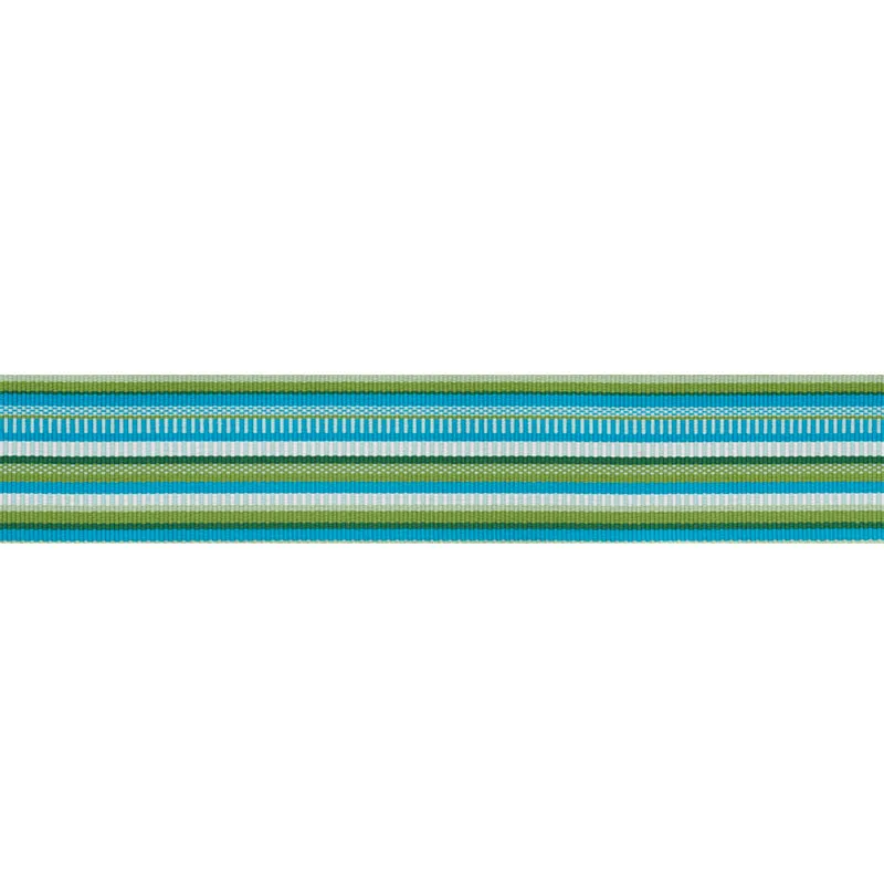 Schumacher Primavera Tape Wide trim in Meadow (75990)