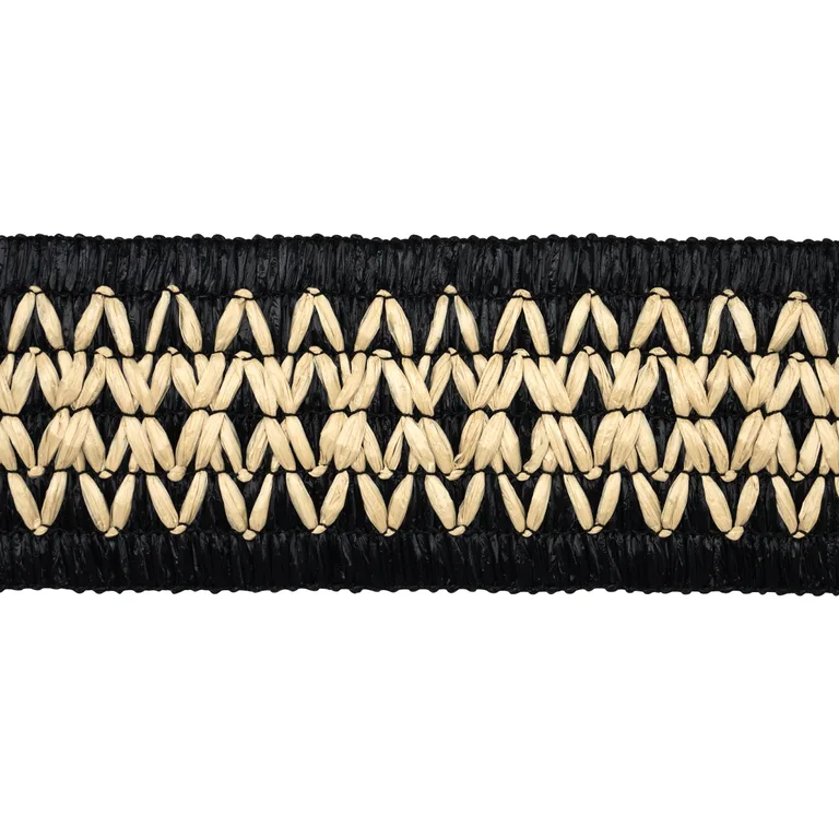 Schumacher Raphiinae Tape trim in Black (83551)
