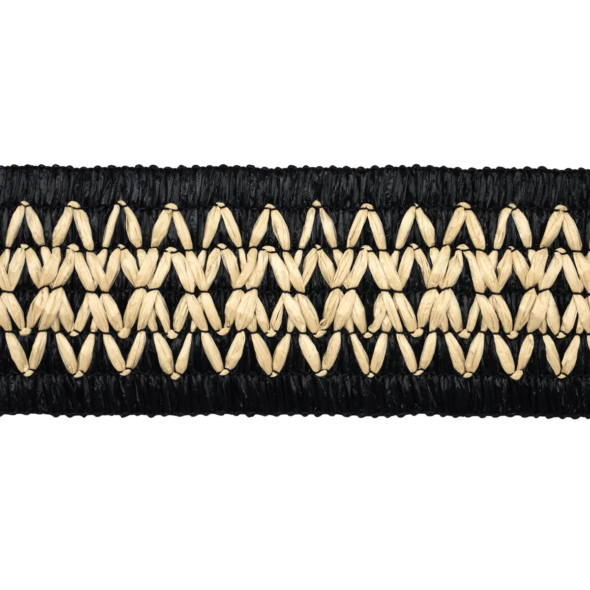 Schumacher Raphiinae Tape trim in Black (83551)