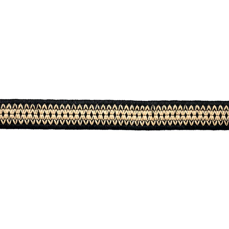 Schumacher Raphiinae Tape trim in Black (83551)