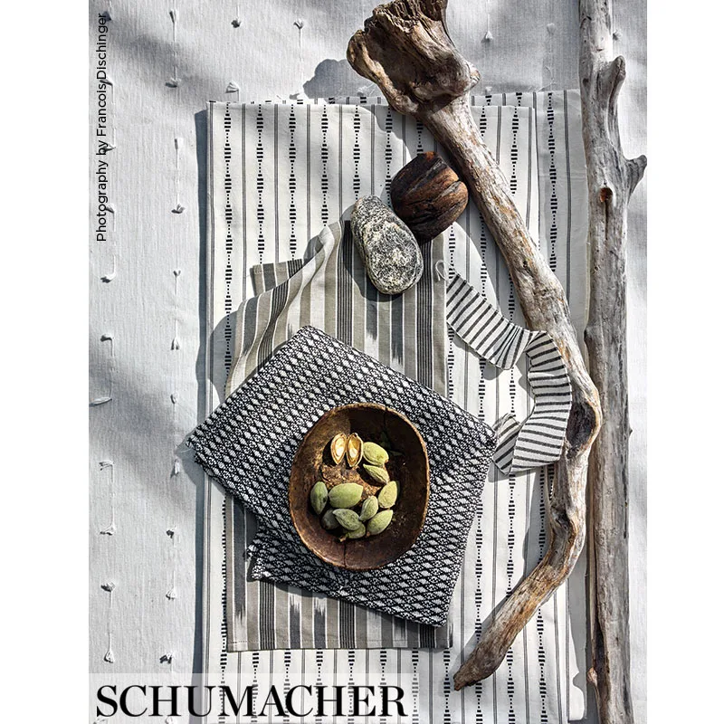 Schumacher Salton Tape trim in Black (72585)