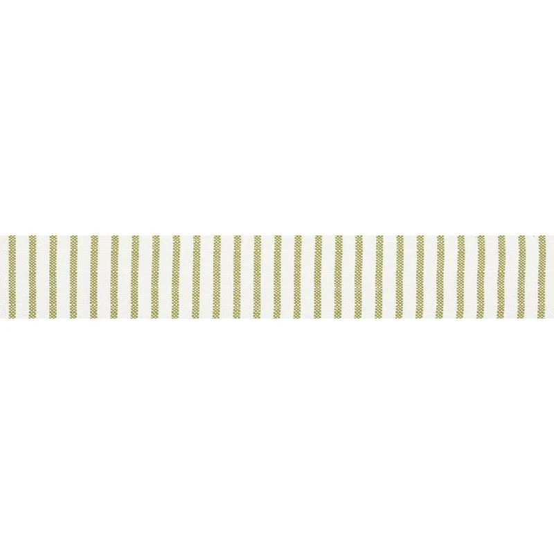Schumacher Salton Tape trim in Leaf (72584)