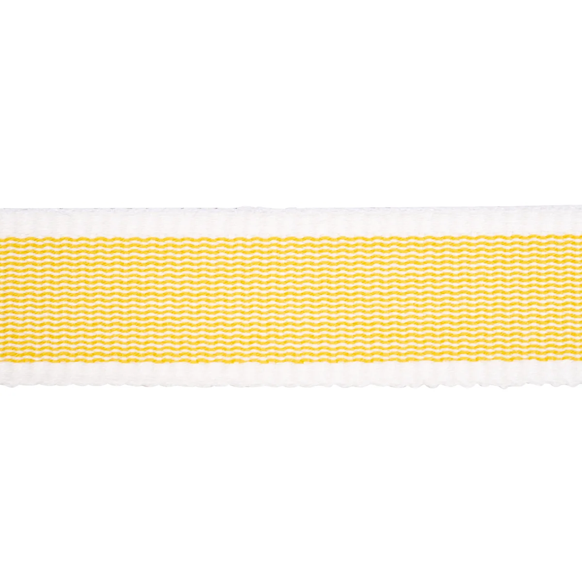 Schumacher Sandpiper Tape Narrow trim in Yellow (83890)