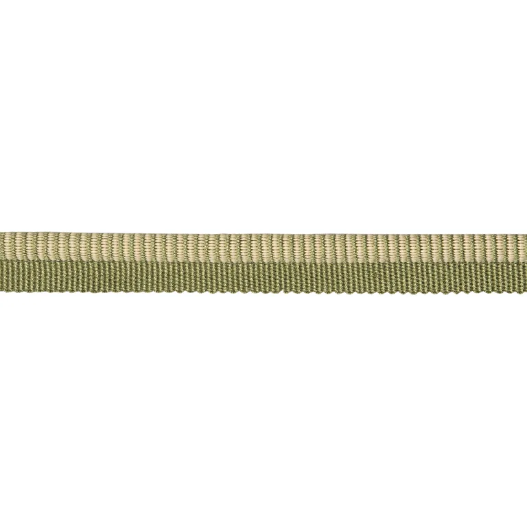 Schumacher Seville Ribbed Cord trim in Green (86521)