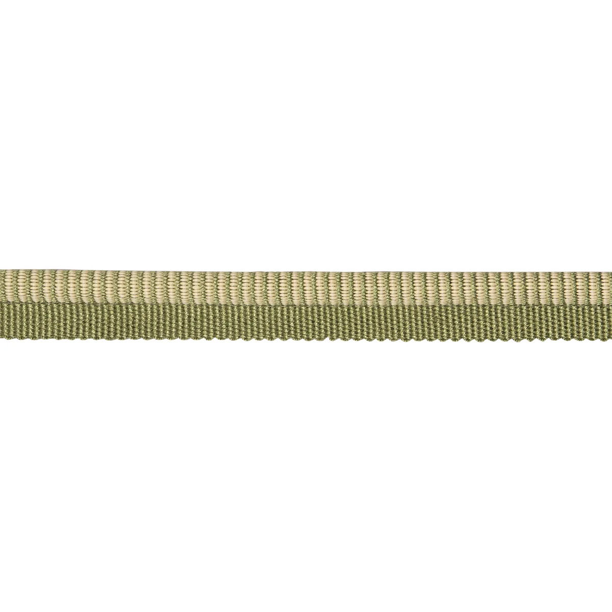 Schumacher Seville Ribbed Cord trim in Green (86521)