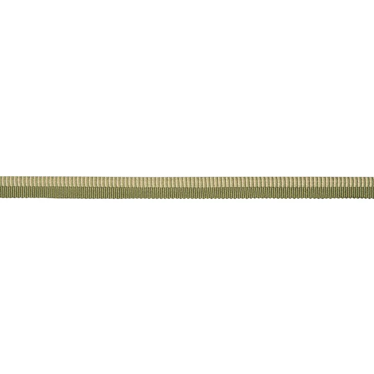 Schumacher Seville Ribbed Cord trim in Green (86521)