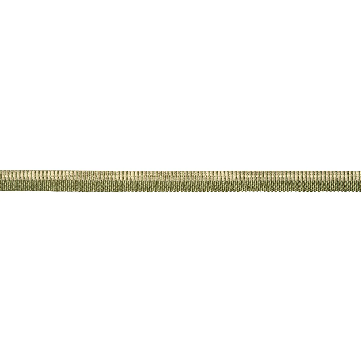 Schumacher Seville Ribbed Cord trim in Green (86521)