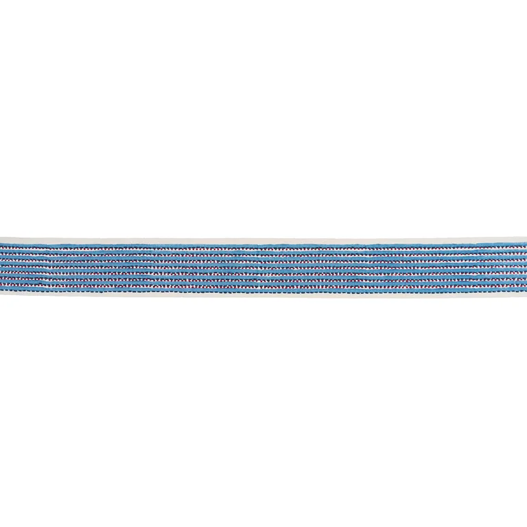 Schumacher Stripe & Dot Hand Block Trim in Blue (85421)