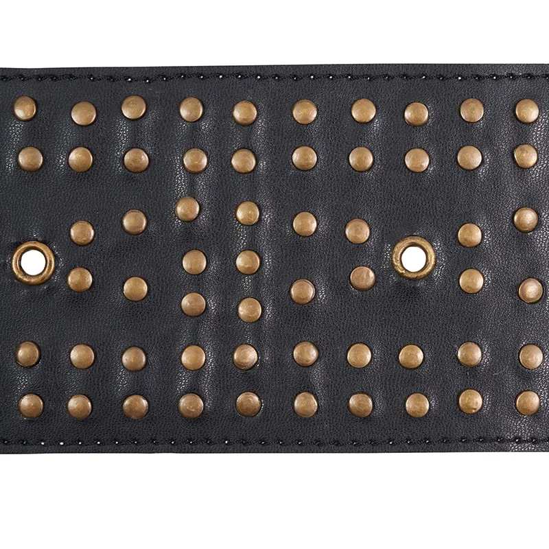 Schumacher Studded Leather Trim in Black (76092)