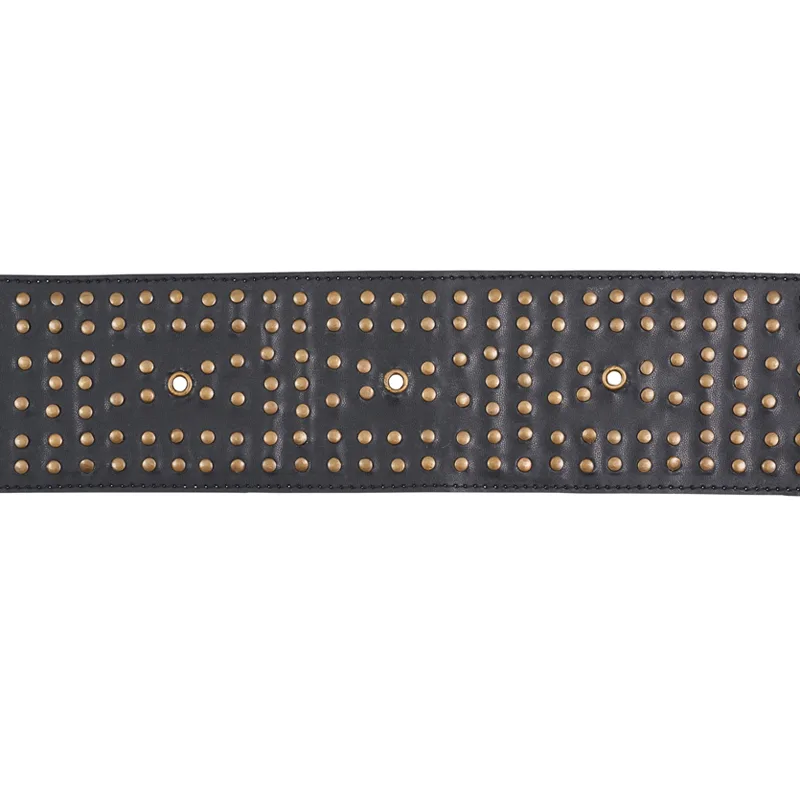 Schumacher Studded Leather Trim in Black (76092)