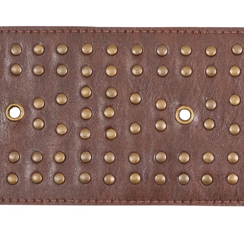 Schumacher Studded Leather Trim in Brown (76091)