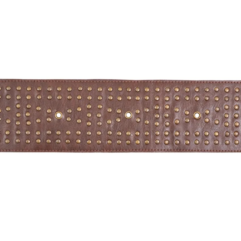 Schumacher Studded Leather Trim in Brown (76091)
