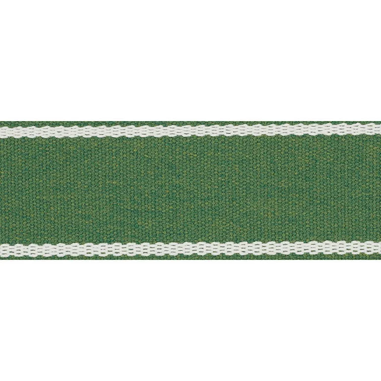 Schumacher Sullivan Tape Indoor/Outdoor trim in Green (72403)