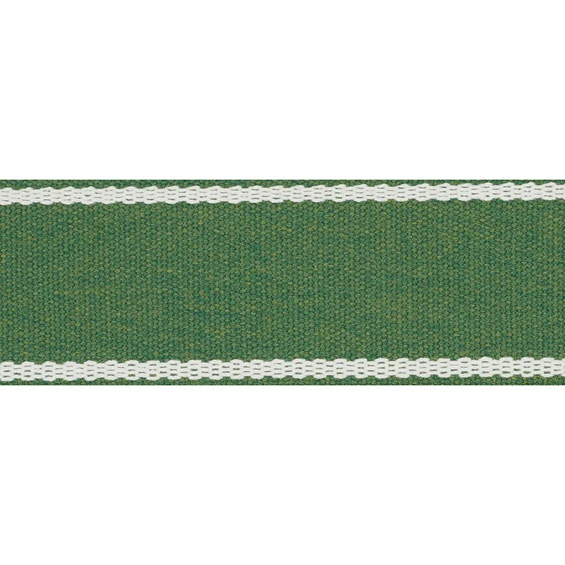 Schumacher Sullivan Tape Indoor/Outdoor trim in Green (72403)