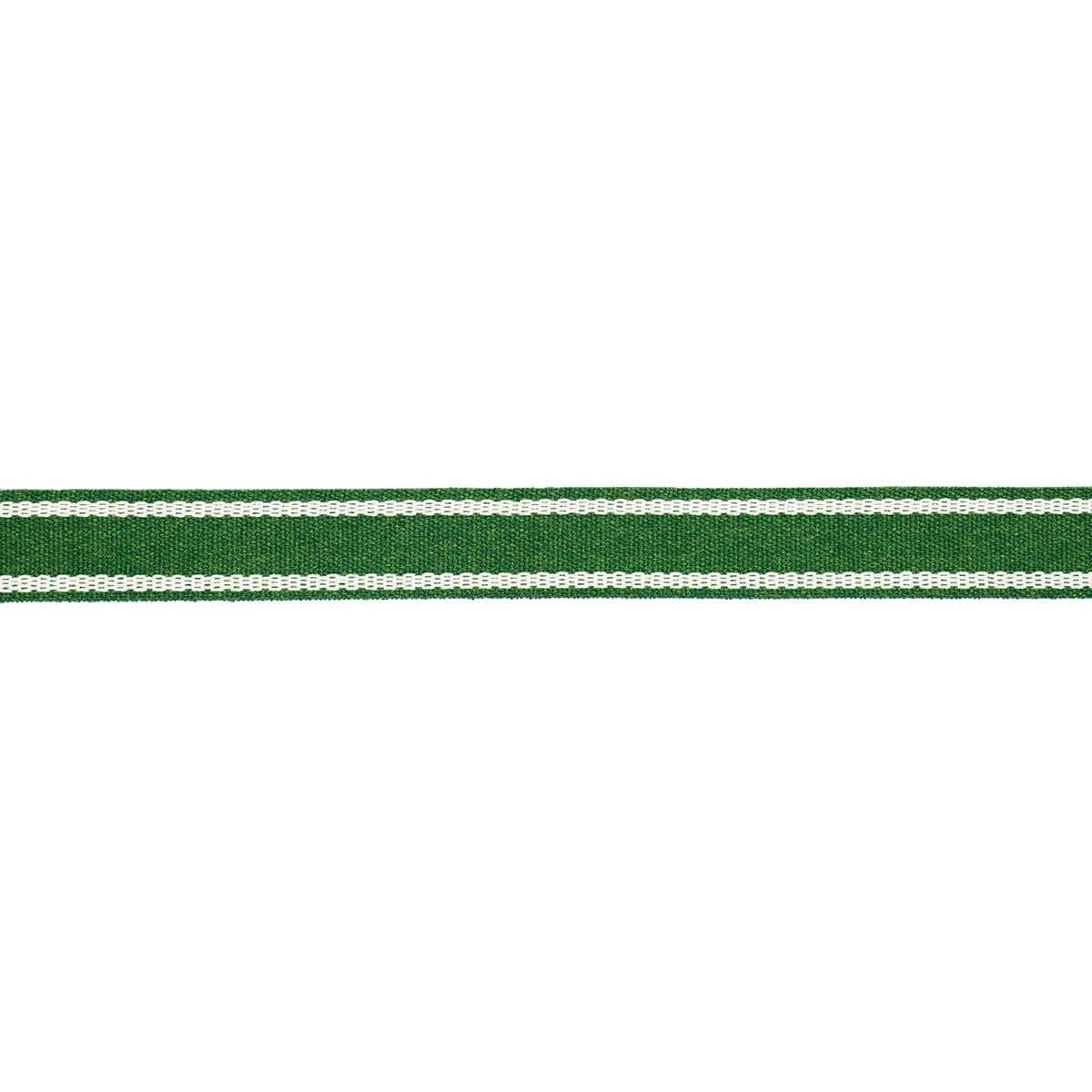 Schumacher Sullivan Tape Narrow Indoor/Outdoor trim in Green (83672)