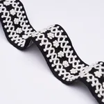 85301 | Sunnyvale Tape - Onyx Schumacher Sunnyvale Tape trim in Onyx (85301)