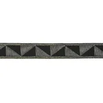 Schumacher Teague Tape Indoor/Outdoor trim in Black (78532)