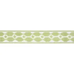 Schumacher Telia Tape trim in Leaf (73691)