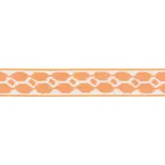 73692 | Telia Tape - Orange Schumacher Telia Tape trim in Orange (73692)