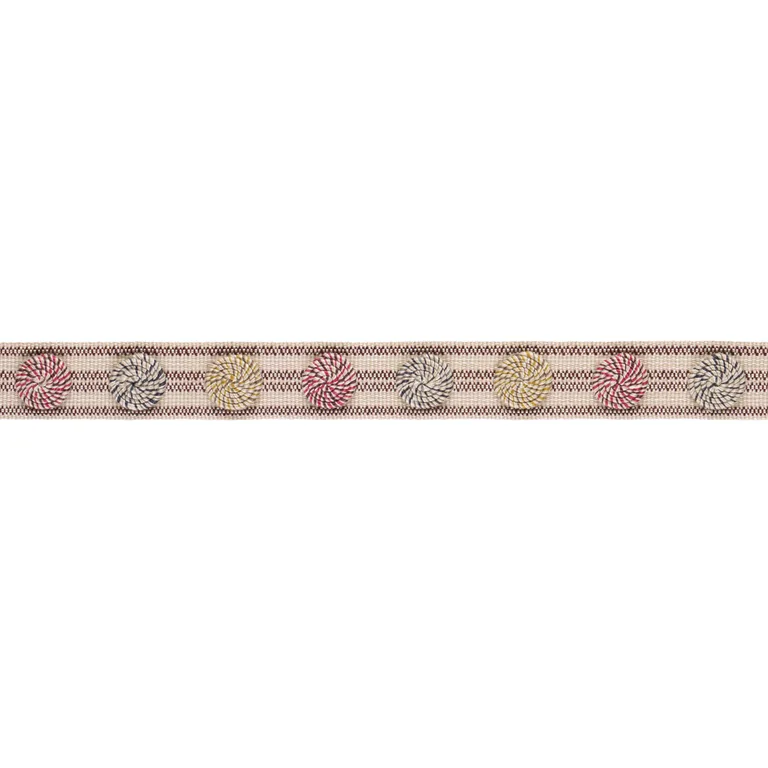 Schumacher The City'S Silent Lines Tape trim in Lollipop (86841)