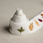 81680 | Tiny Things Embroidered Tape - Multi on Ivory Schumacher Tiny Things Embroidered Tape trim in Multi on Ivory (81680)