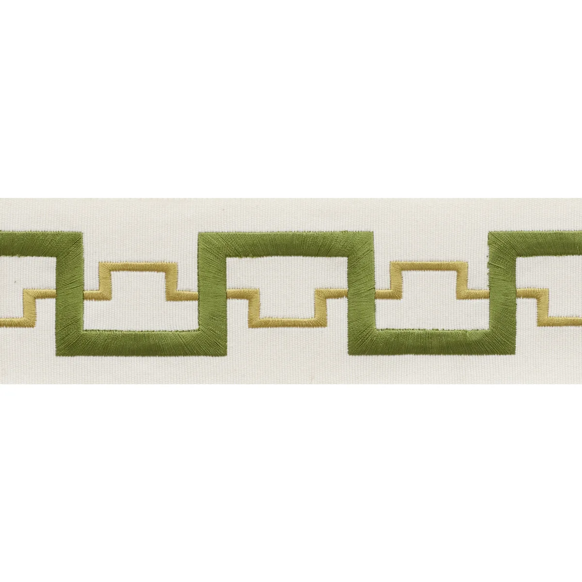Schumacher Turret Tape trim in Leaf (74352)