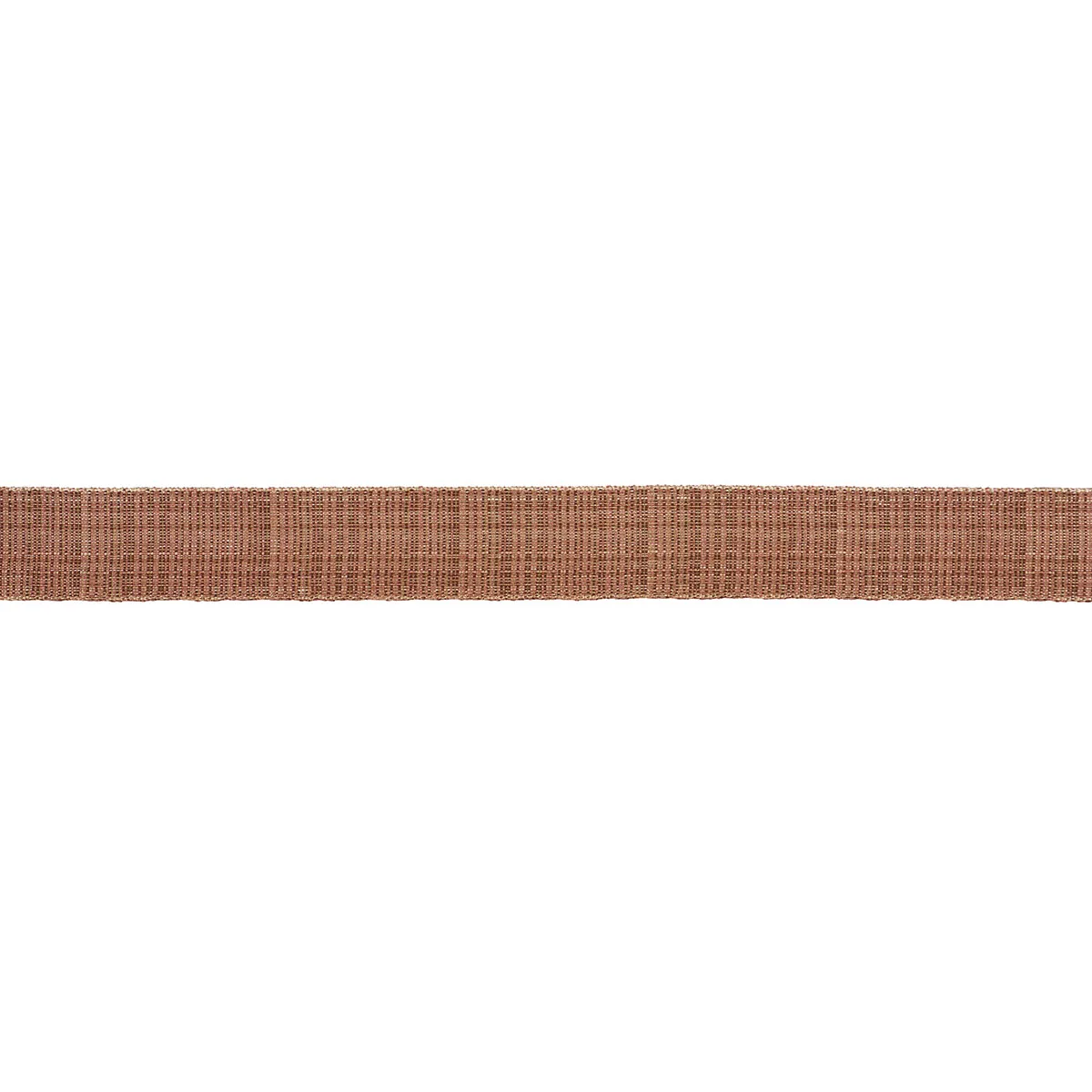 Schumacher Tweed Tape Medium trim in Brown (86192)