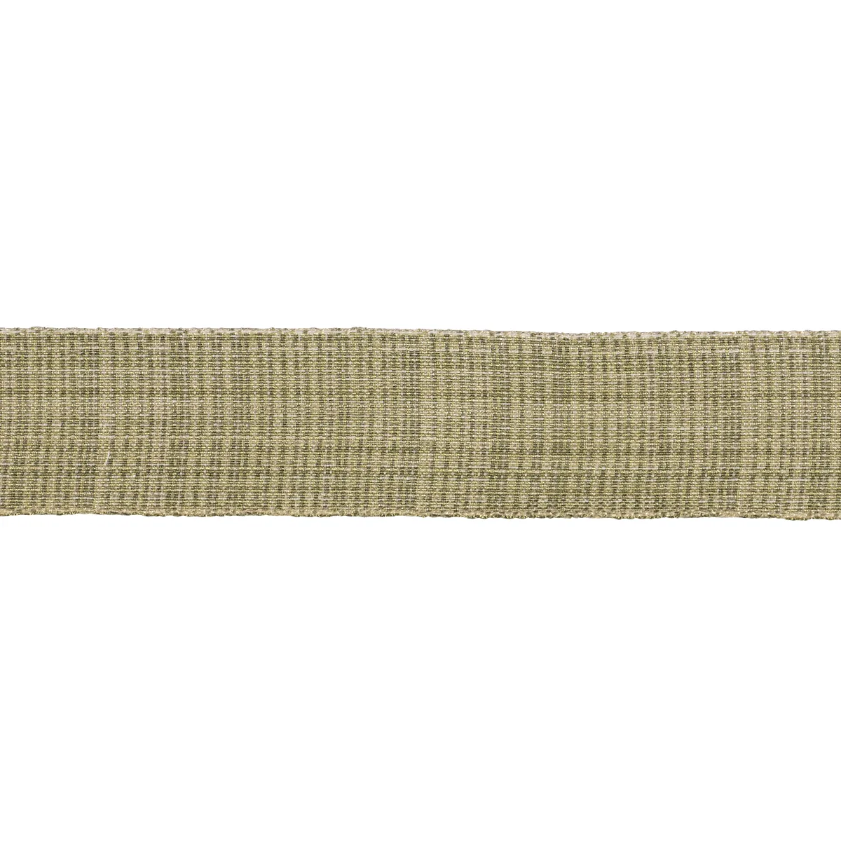 Schumacher Tweed Tape Medium trim in Leaf (70739)