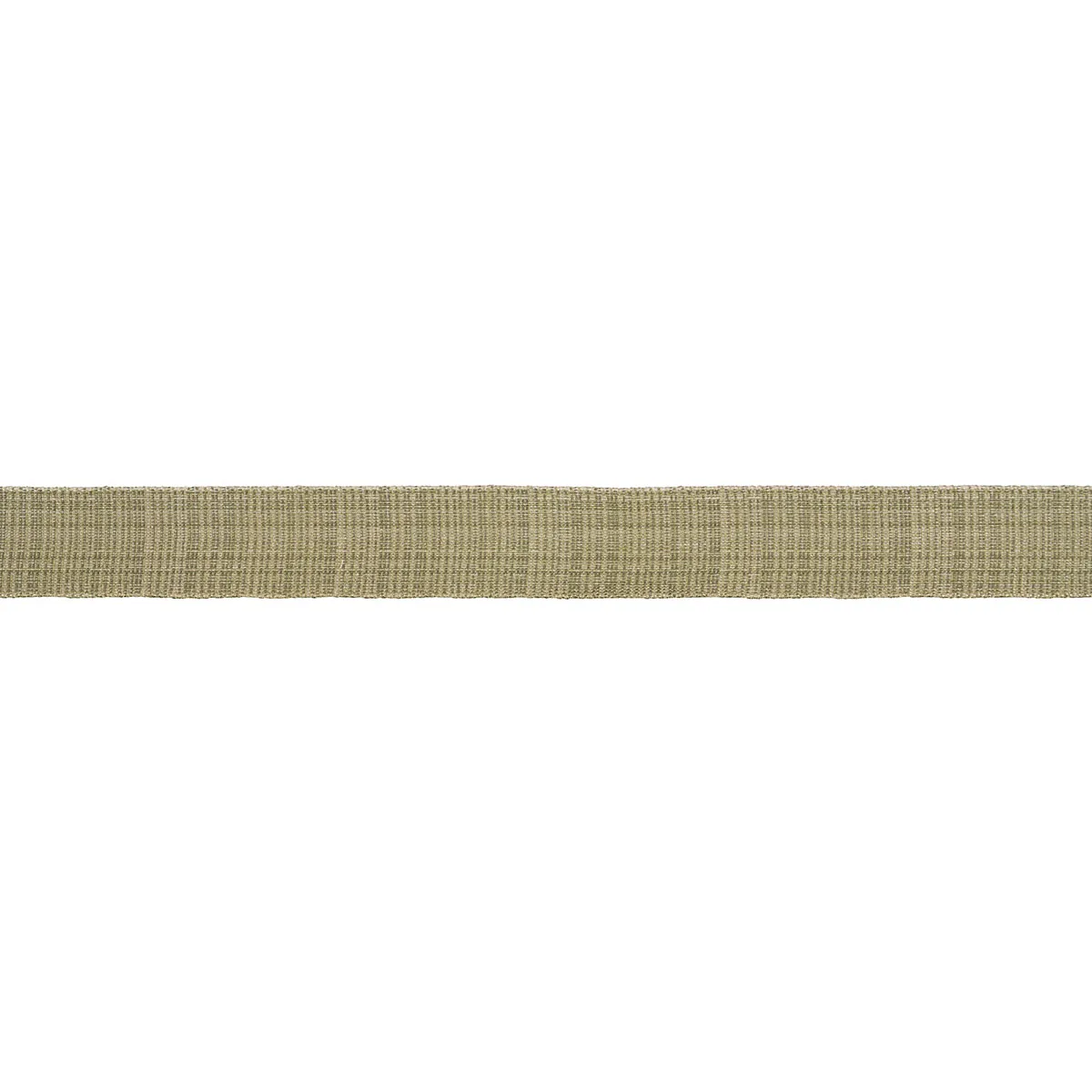 Schumacher Tweed Tape Medium trim in Leaf (70739)