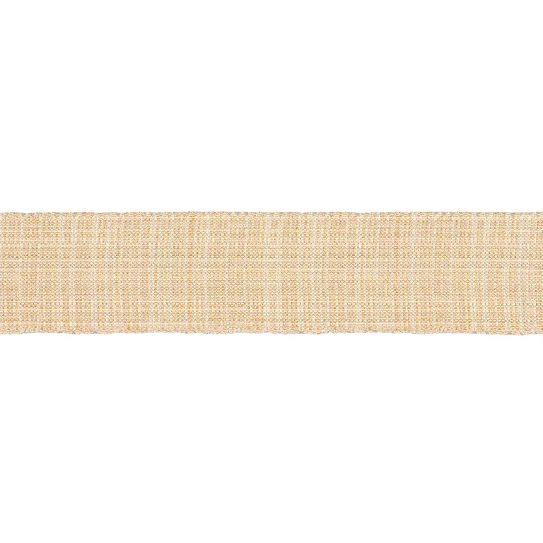 Schumacher Tweed Tape Medium trim in Yellow (86190)
