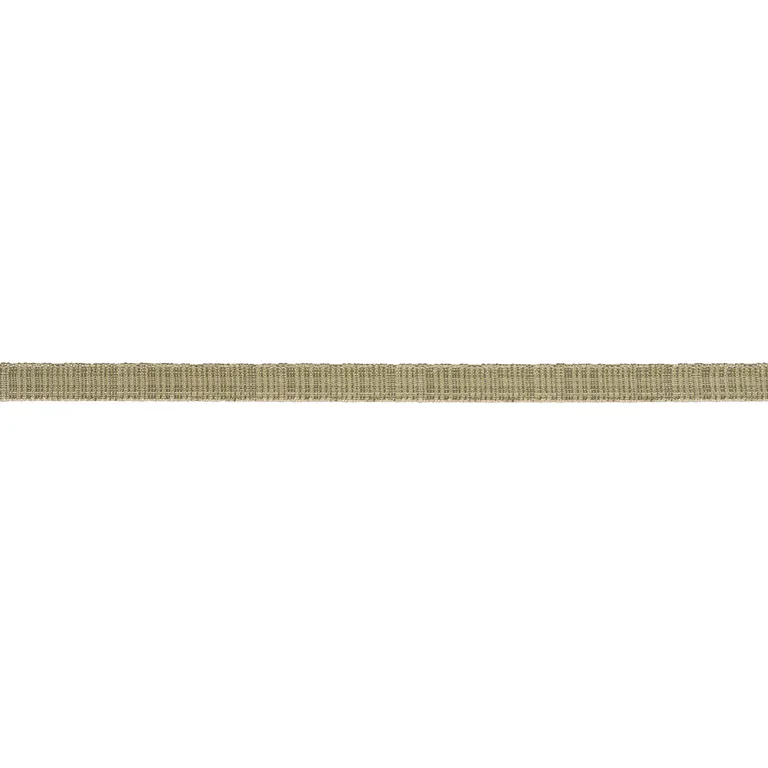 Schumacher Tweed Tape Narrow trim in Leaf (86201)