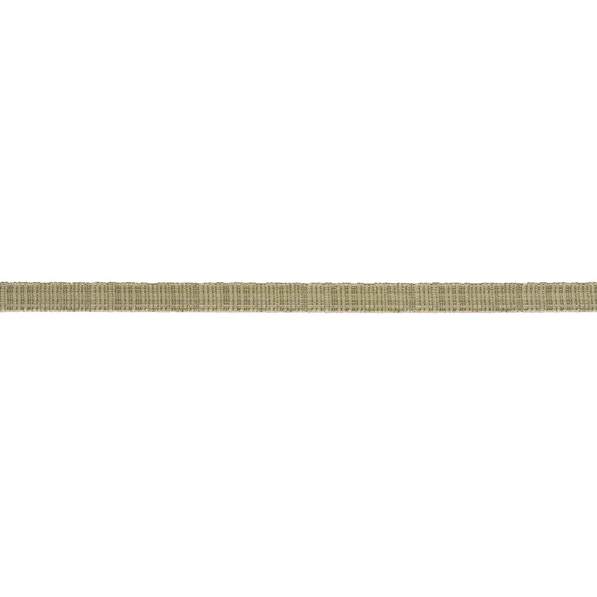 Schumacher Tweed Tape Narrow trim in Leaf (86201)
