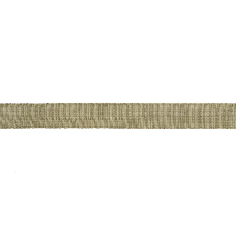 Schumacher Tweed Tape Wide trim in Leaf (86211)