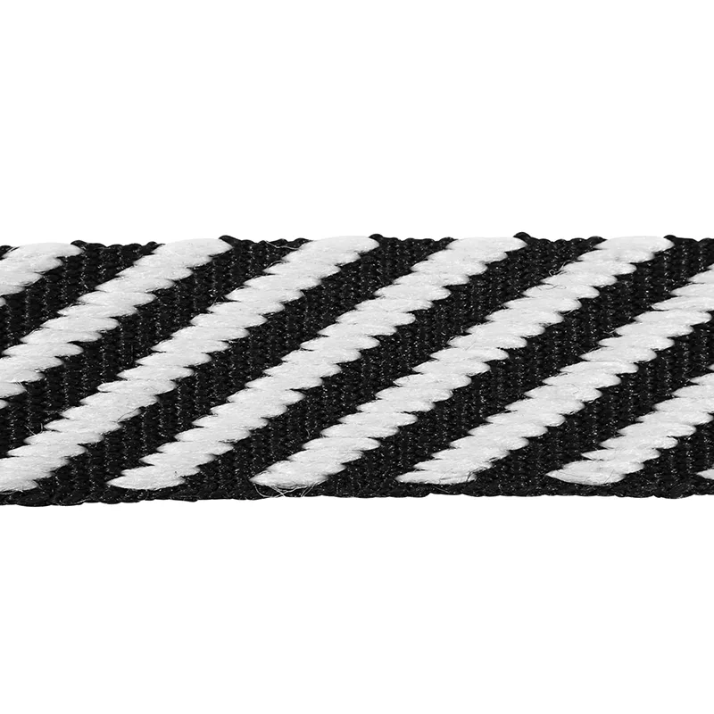 Schumacher Twill Tape trim in Black (76100)