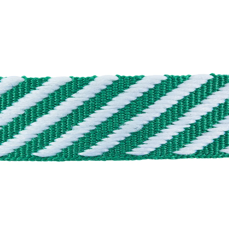 Schumacher Twill Tape trim in Emerald (76106)
