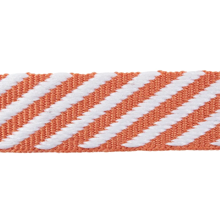 Schumacher Twill Tape trim in Orange (76103)