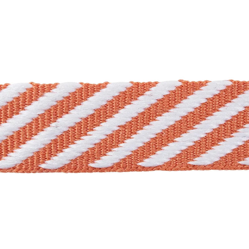 Schumacher Twill Tape trim in Orange (76103)