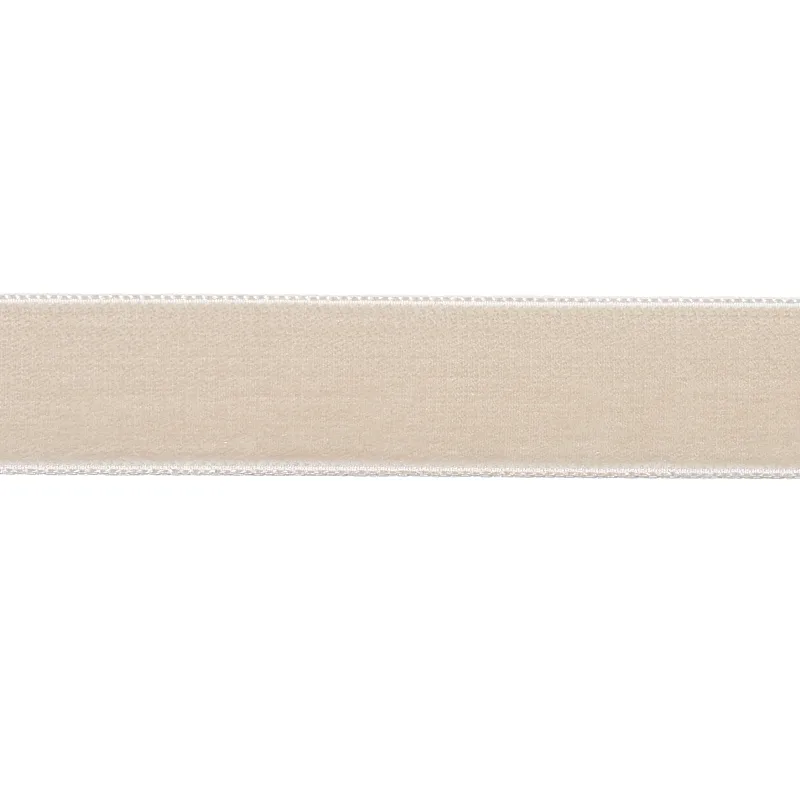 Schumacher Velvet Tape Medium trim in Dove (80941)