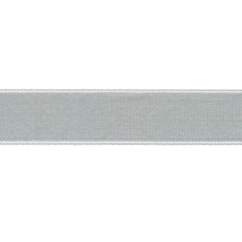 Schumacher Velvet Tape Medium trim in Mineral (80942)
