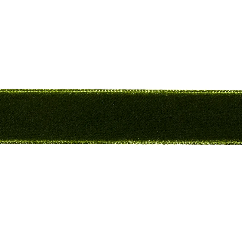Schumacher Velvet Tape Medium trim in Moss (80945)