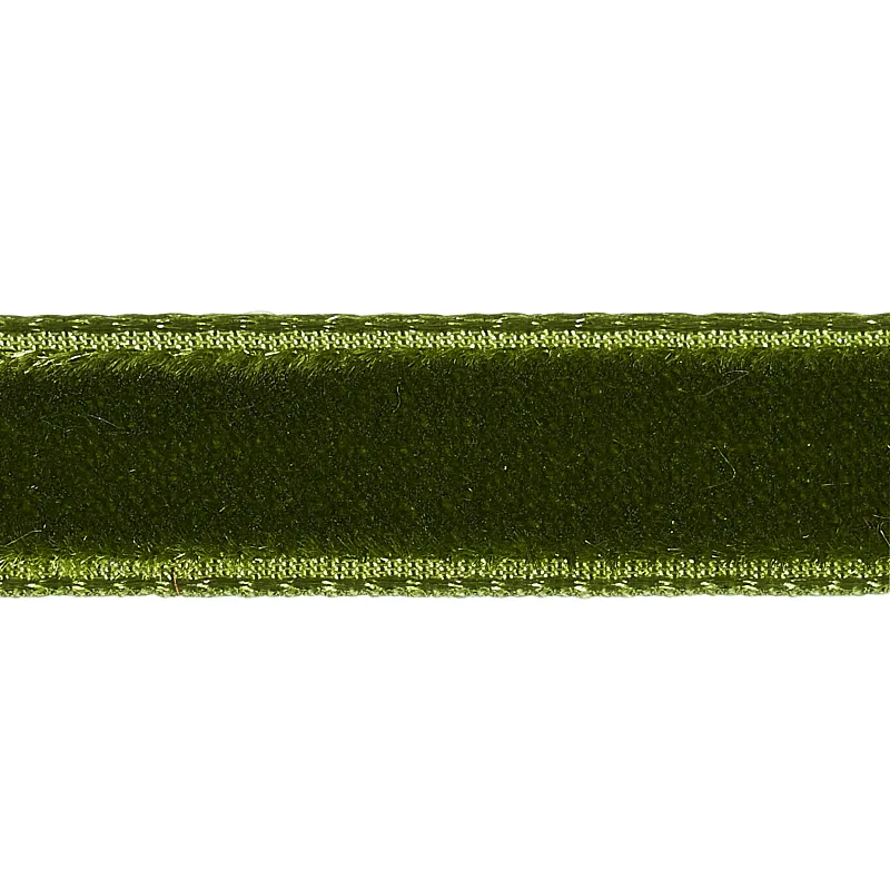 Schumacher Velvet Tape Narrow trim in Moss (80925)