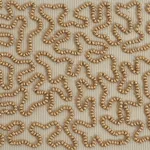 Schumacher Vermicelli Beaded Tape trim in Gold (77481)