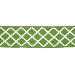 79440 | Zella Appliquéd Tape - Green Schumacher Zella Appliquéd Tape trim in Green (79440)