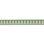 82441 | Zeus Indoor/Outdoor Tape - Green Schumacher Zeus Indoor/Outdoor Tape trim in Green (82441)