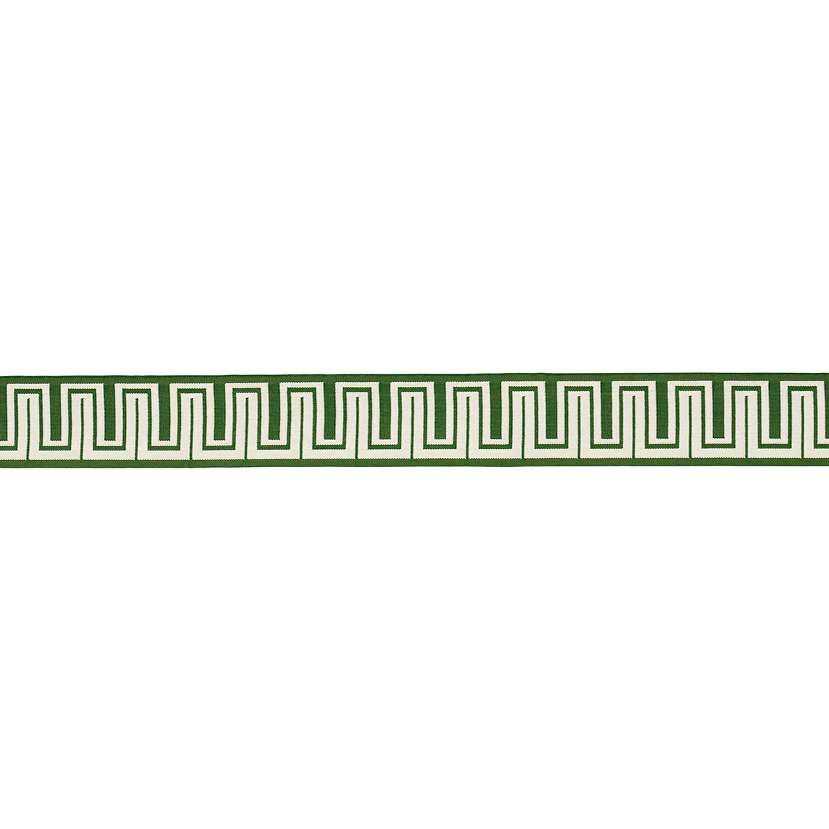 Schumacher Zeus Indoor/Outdoor Tape trim in Green (82441)