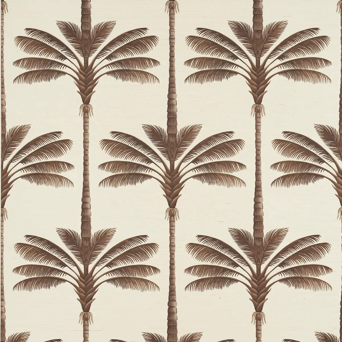 A PALM IS A PALM SISAL CHOCOLATE MEETS TOBACCO Schumacher Wallpaper wallpaper - SKU 5016960
