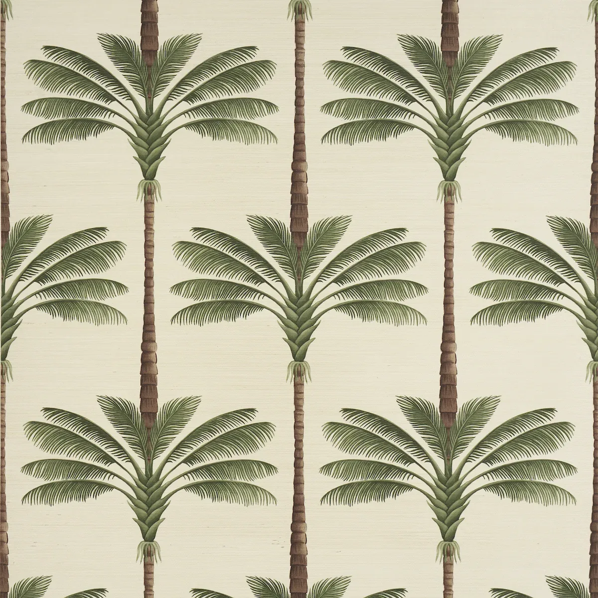 A PALM IS A PALM SISAL DAYLIGHT EVERGREEN Schumacher Wallpaper wallpaper - SKU 5016961