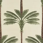 A PALM IS A PALM SISAL DAYLIGHT EVERGREEN Schumacher Wallpaper wallpaper - SKU 5016961