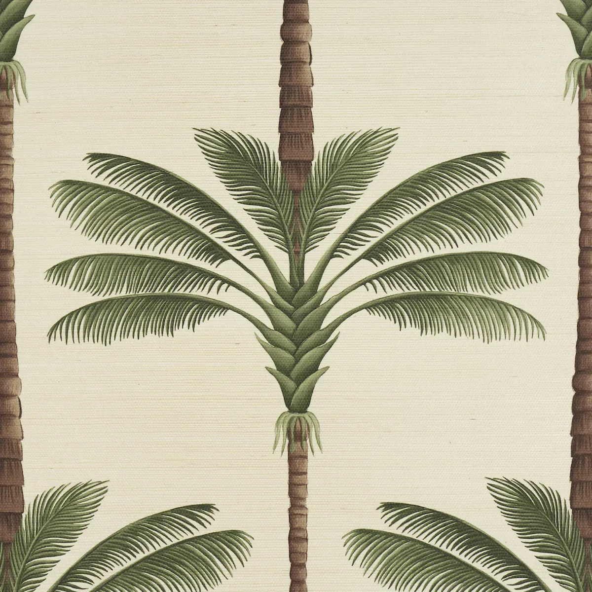 A PALM IS A PALM SISAL DAYLIGHT EVERGREEN Schumacher Wallpaper wallpaper - SKU 5016961