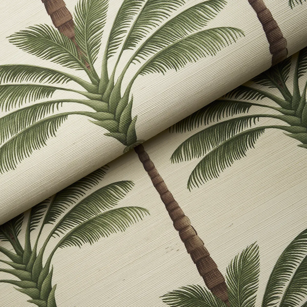 A PALM IS A PALM SISAL DAYLIGHT EVERGREEN Schumacher Wallpaper wallpaper - SKU 5016961
